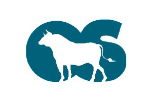 OCS Logo